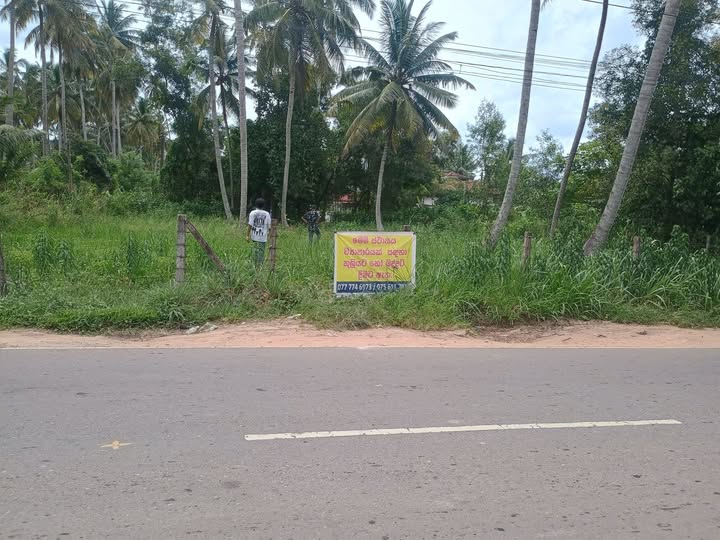 242 දිවුලපිටිය පාරට මුහුණලා මිරිස්වත්ත පිහිටි මෙම ඉඩම බදු දීමට ඇත