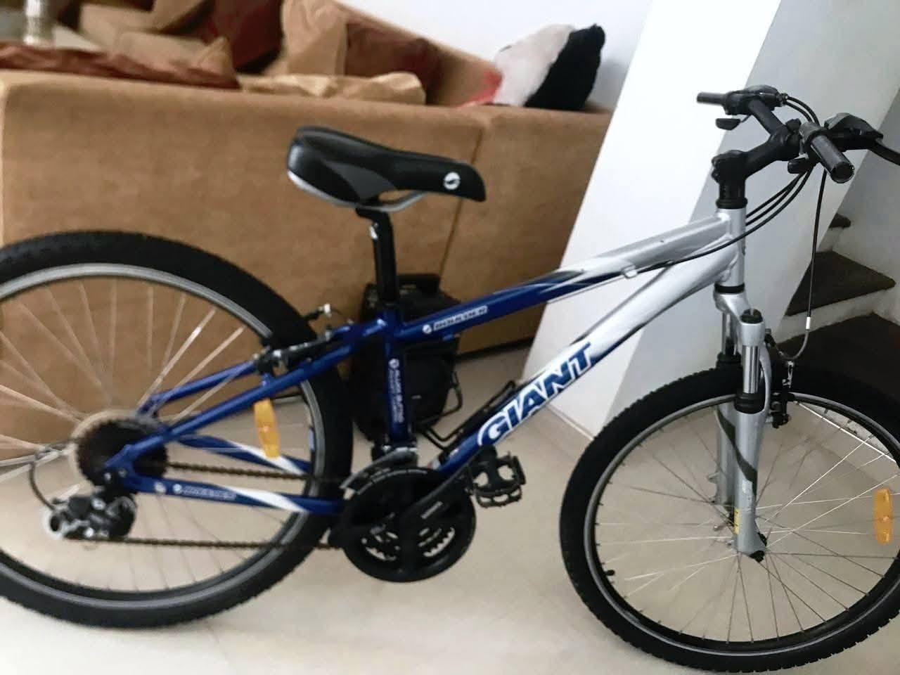 Red giant -Blue giant bicycle- last Felt – Kids bicycle for sale