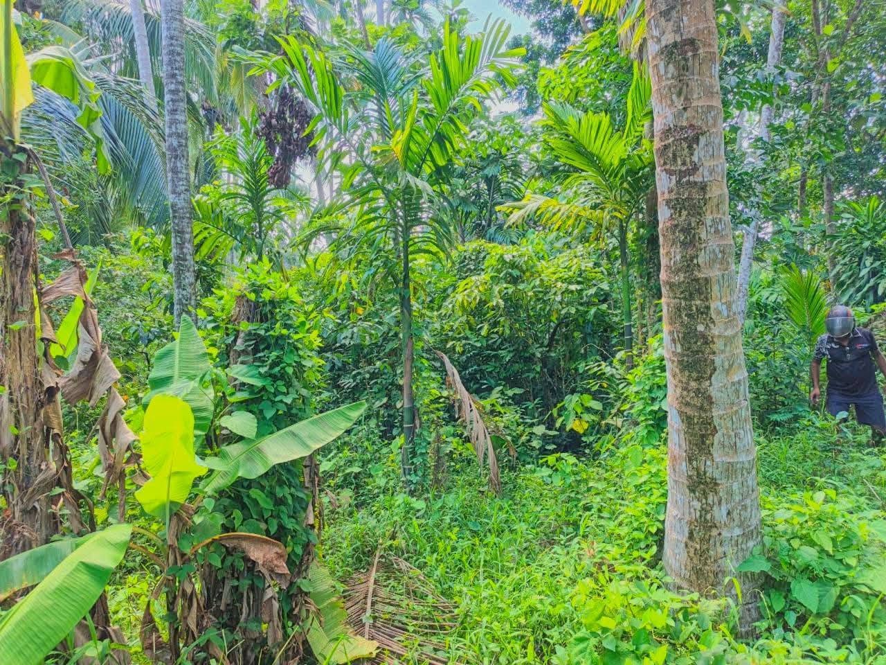 දෙවලපොළ පංසල් හංදියෙන් ප්‍රදේශයේ අඩුම මිලට විකිණීමට
