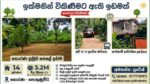 ඉඩමක් වහාම විකිණීමට ඇත හොරණ – පොකුණුවිට