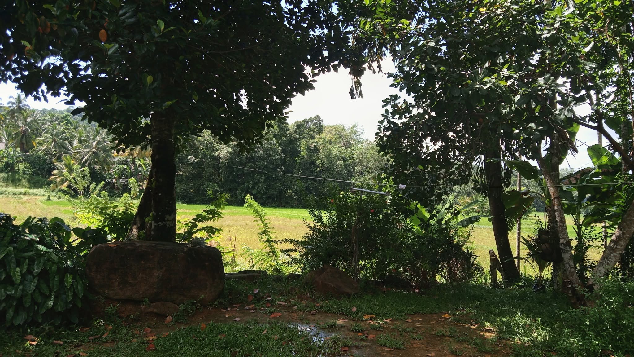 පර්ච් 14 ක ඉඩම