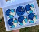 Order from us for your special cupcakes