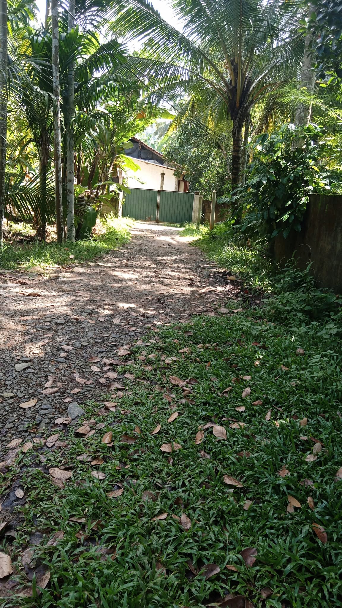 පර්ච් 14 ක ඉඩම