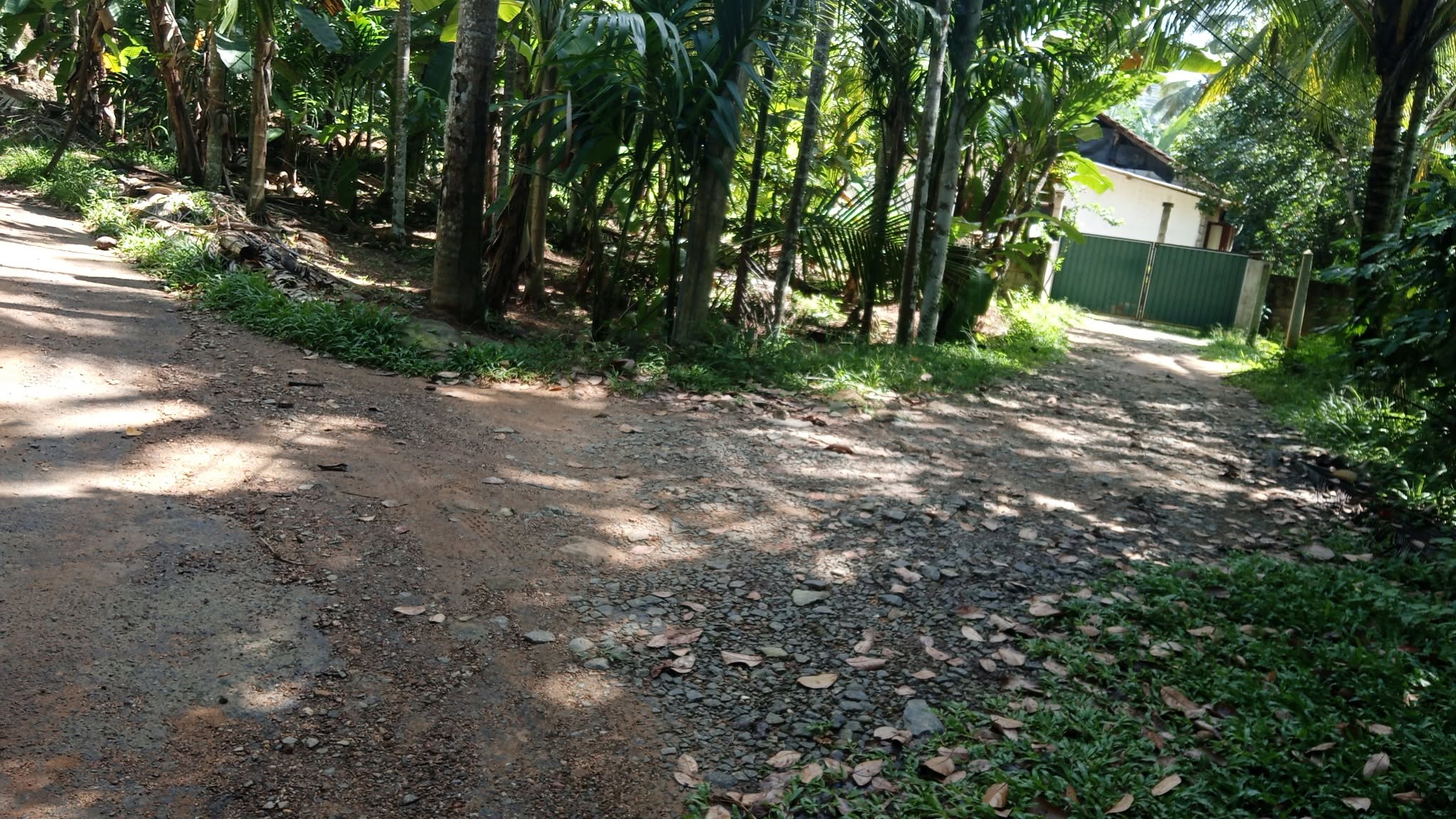 පර්ච් 14 ක ඉඩම