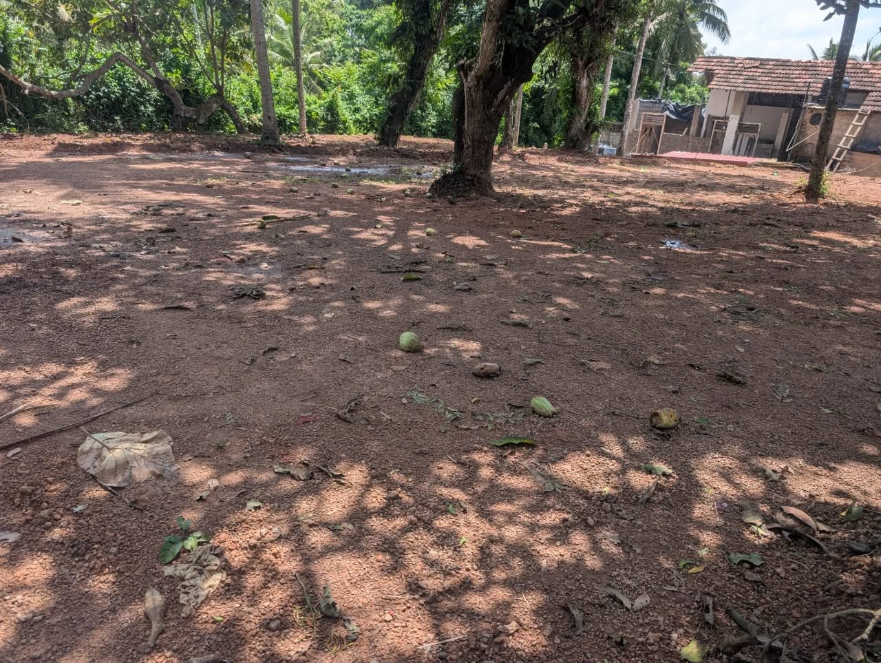 පර්චස් 20 ක ඉඩම විකිණීමට…