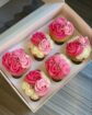 Order from us for your special cupcakes