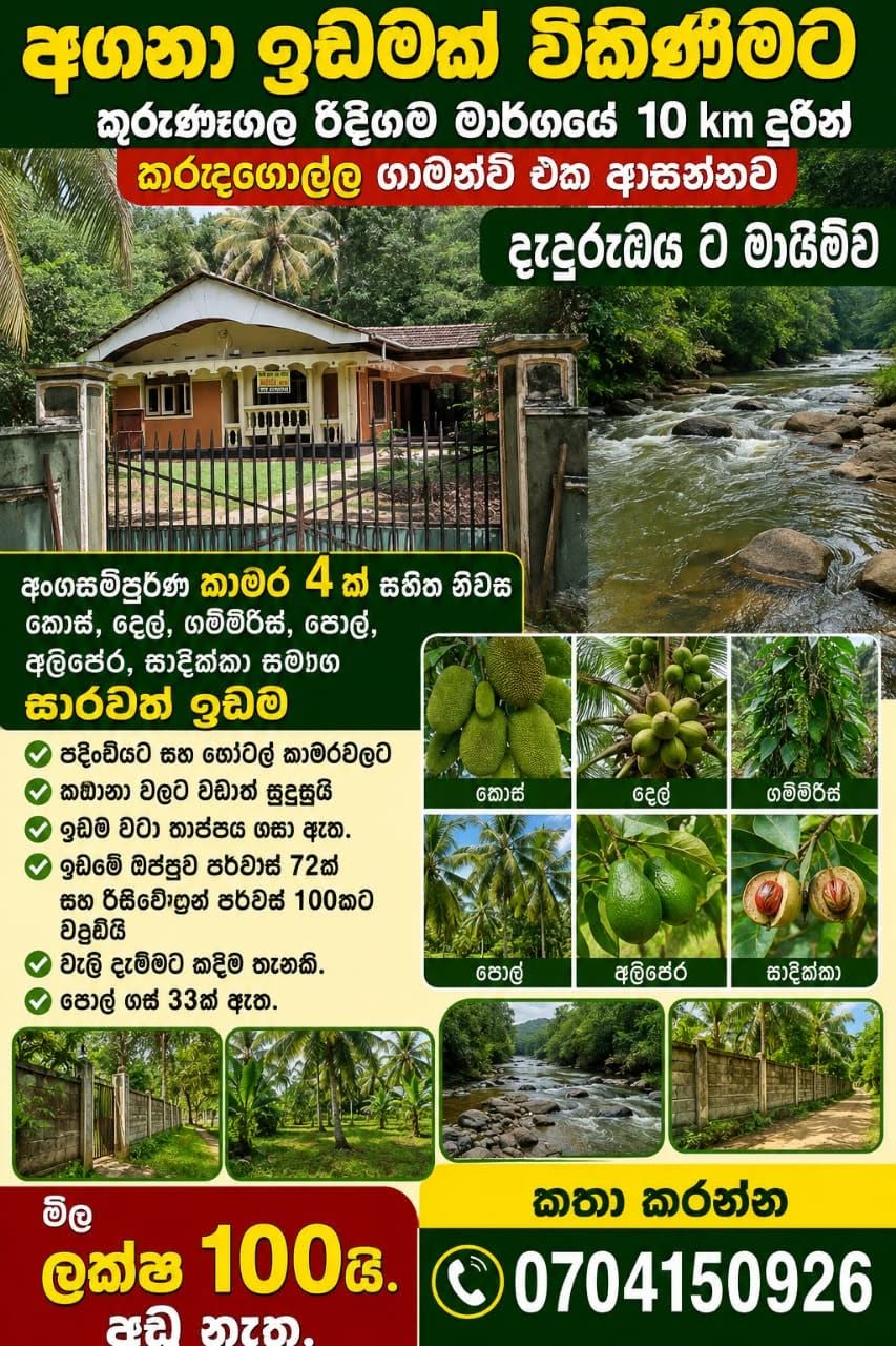 අගනා ඉඩමක් විකිණීමට