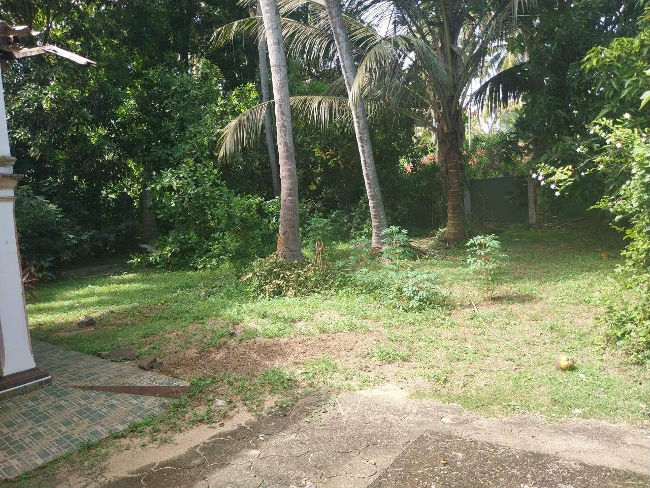 කටුනේරියේ නගරයෙන්  පර්චස් 45 ඉඩමක්..