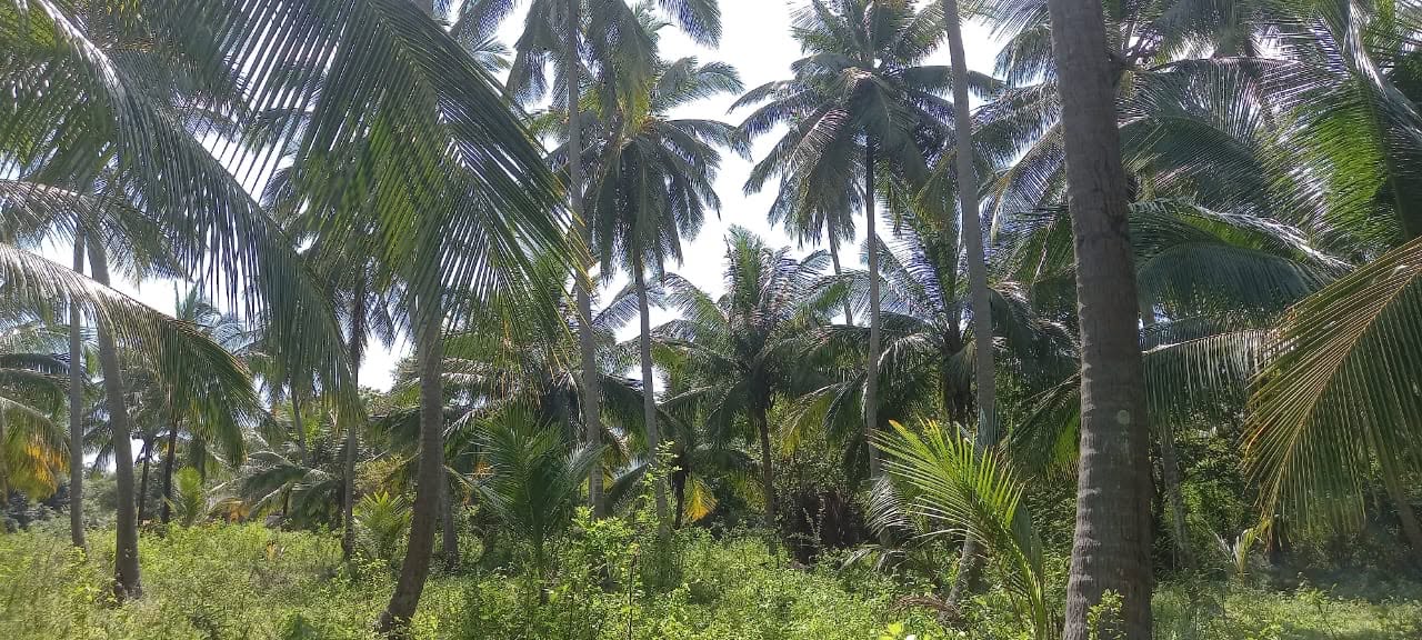 අක්කර 1 ක ඉඩම මුගුණුවටවන පිහිටා අැත.