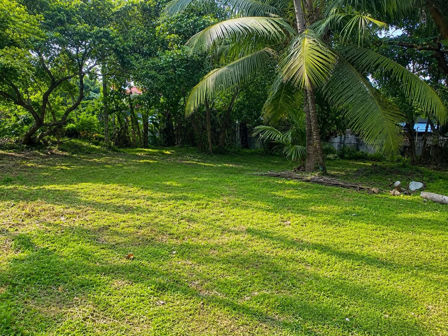 40 Perches Residential Land for Sale in Negombo Town