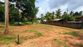 36-6