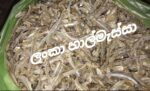 කරවල