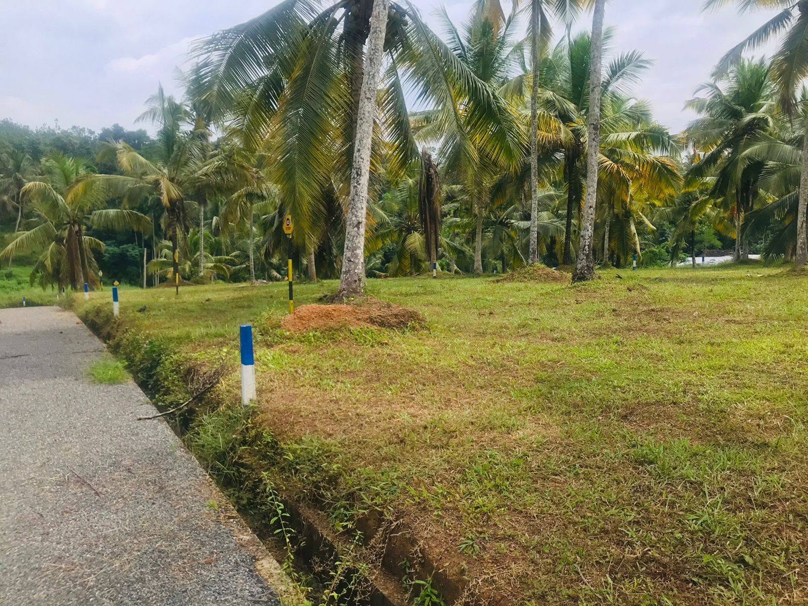 ගම්පහ ,කිරිදිවැල 231 බස්මාර්ගයට ආසන්නව . වැදගත් වටපිටාවක ‎වටිනා නේවාසික බිම් කොටසක් විකිනීමට