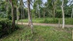 නිට්ටඹුව කලගෙඩිහේන – ඉක්මනින් විකිණීමට ඇති අනගි අවස්ථාවක්!