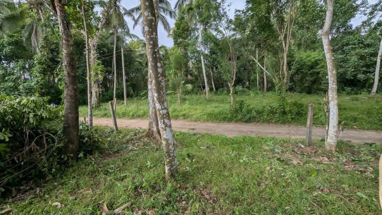 නිට්ටඹුව කලගෙඩිහේන – ඉක්මනින් විකිණීමට ඇති අනගි අවස්ථාවක්!