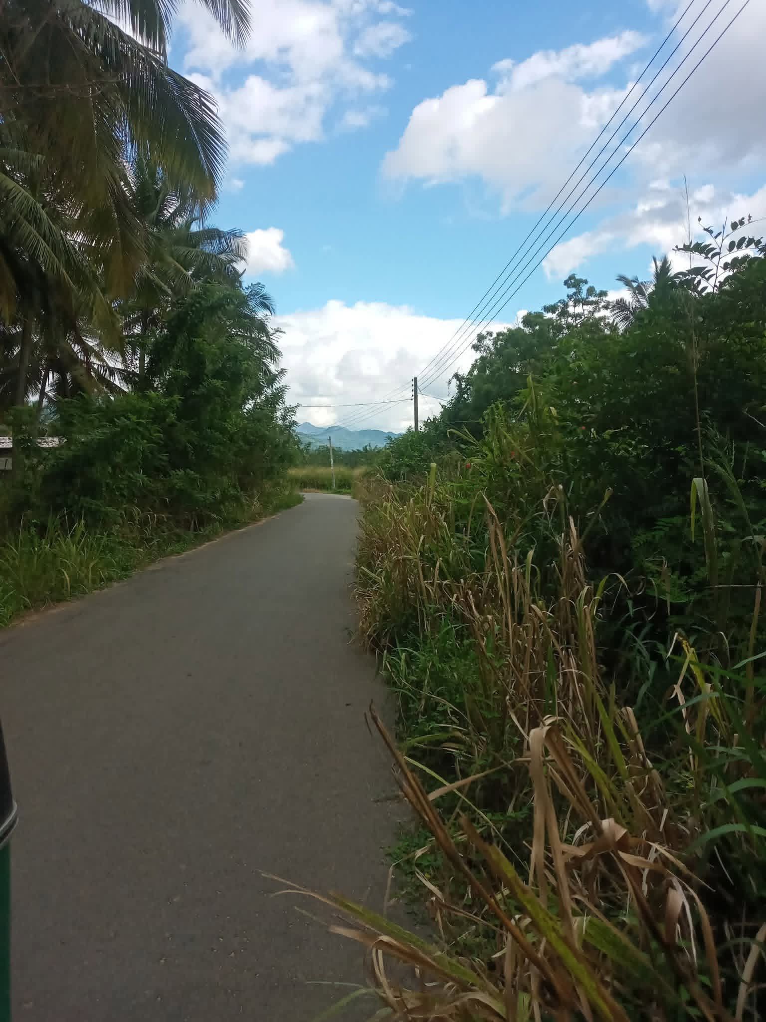 අක්කර තුනා හමරක් මුදල් හදිස්සියට ඉතාමත් ඉක්මනින් විකිනිමට