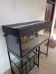 ඉක්මනින් විකිණීමට ඇත! Complete Fish Tank Set