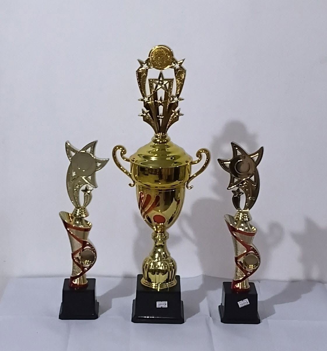 කුඩා cricket tounamet එකක් සදහා trophy ….