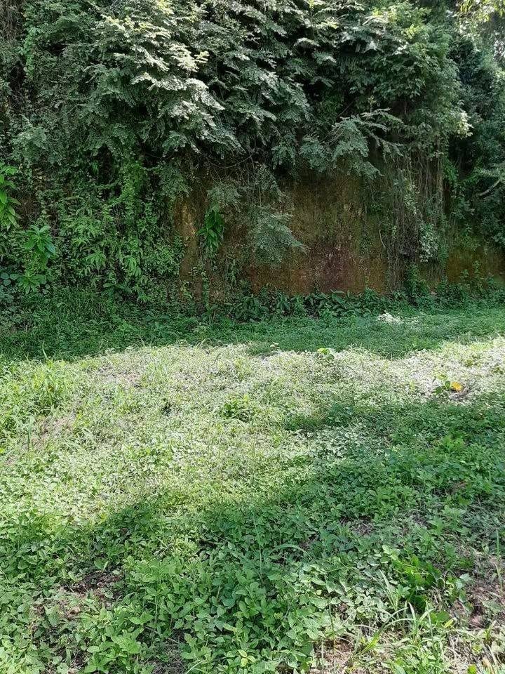 ජා-ඇලින් පර්චස් 20ක අගනා ඉඩමක් විකිණීමට ඇත