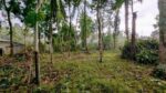 නිට්ටඹුව කලගෙඩිහේන – ඉක්මනින් විකිණීමට ඇති අනගි අවස්ථාවක්!