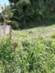 ජා-ඇලින් පර්චස් 20ක අගනා ඉඩමක් විකිණීමට ඇත