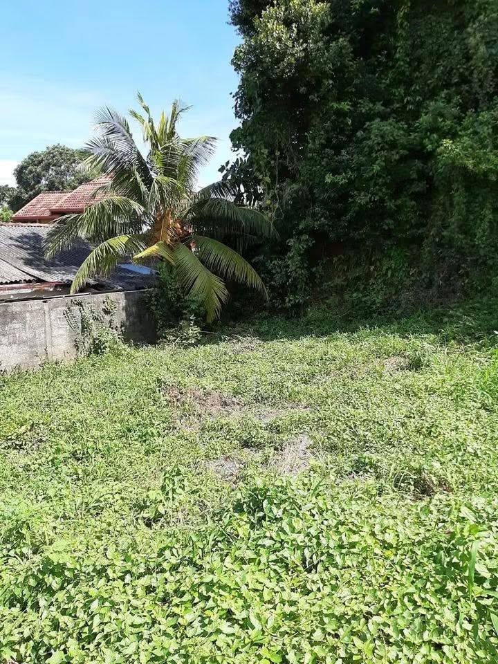 ජා-ඇලින් පර්චස් 20ක අගනා ඉඩමක් විකිණීමට ඇත
