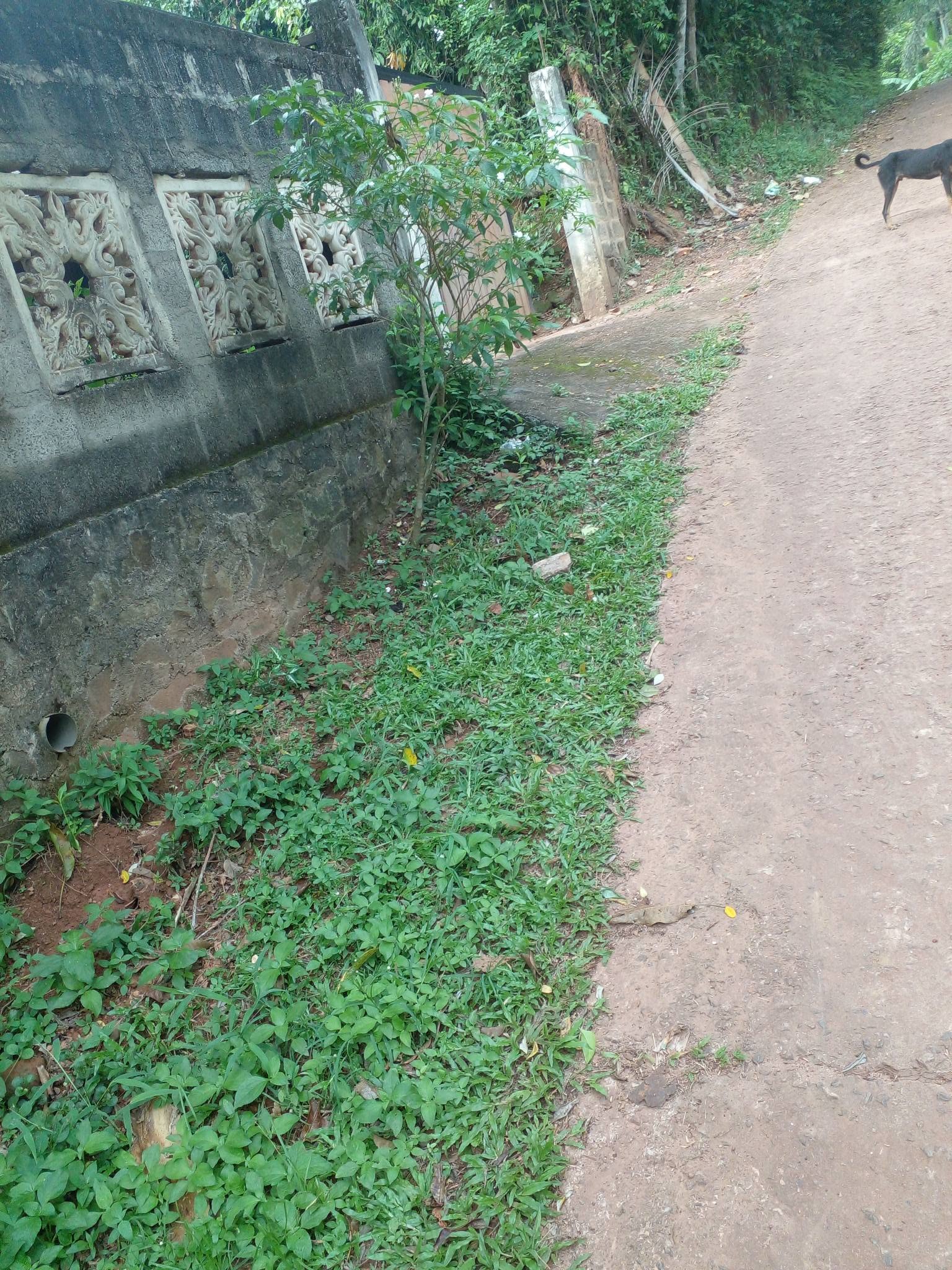 මිනුවන්ගොඩ ගම්පහ ප්‍රධාන පාරේ සිට 1km, වැල්හේන පාරේ තිබෙන පර්චස් 5 හිස් ඉඩමක් විකිණීමට.