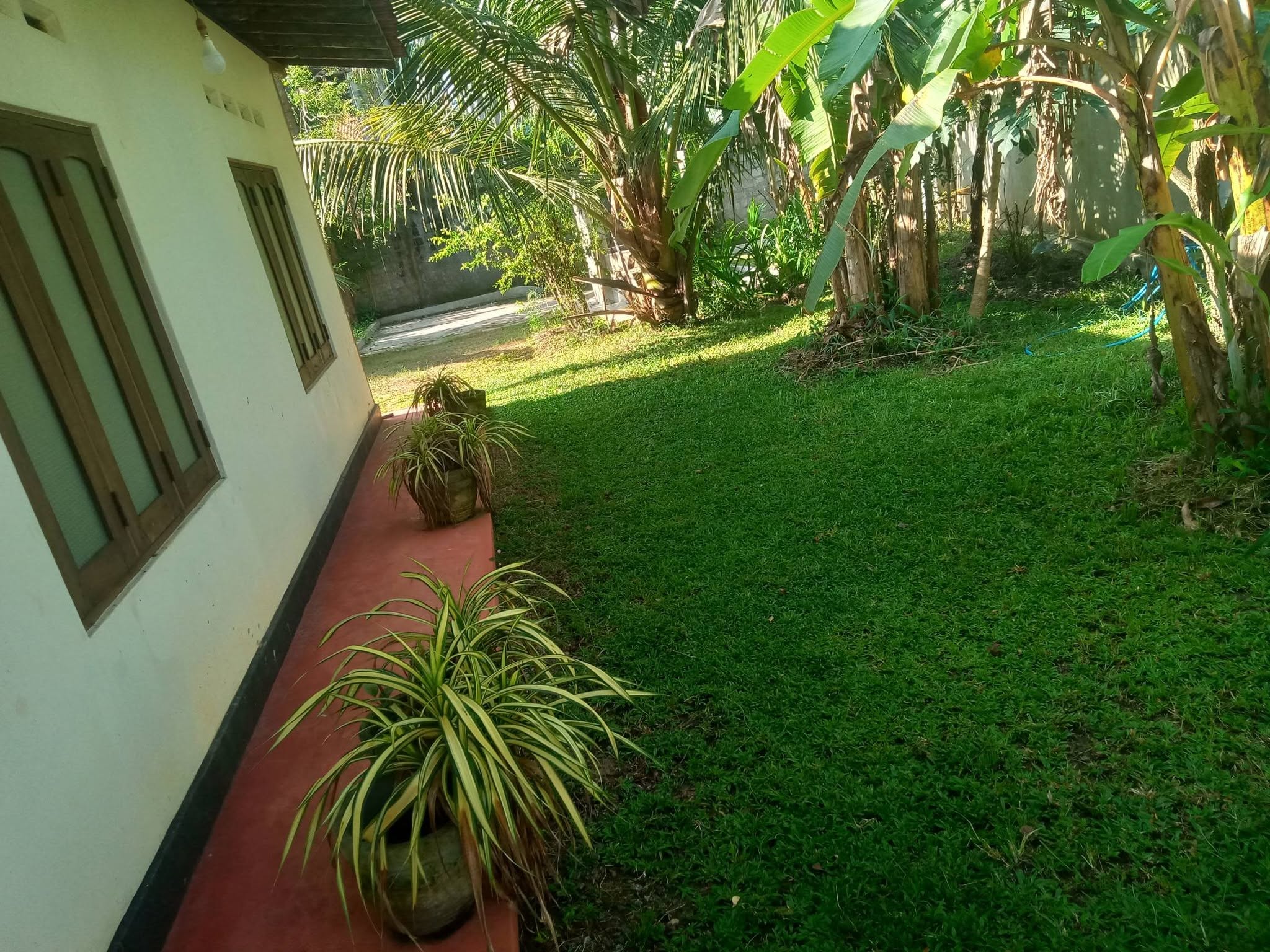 දංකොටුව නගර මද්‍යයේ නිවස සහිත ඉඩම විකිණීමට ඇත.