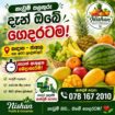 ගෙදරටම නැවුම් පලතුරු දැන් නිවසටම! නිවසට අවශ්‍ය නැවුම් පලතුරු දැන් අපෙන් පහසුවෙන් ඇණවුම් කරගන්න.