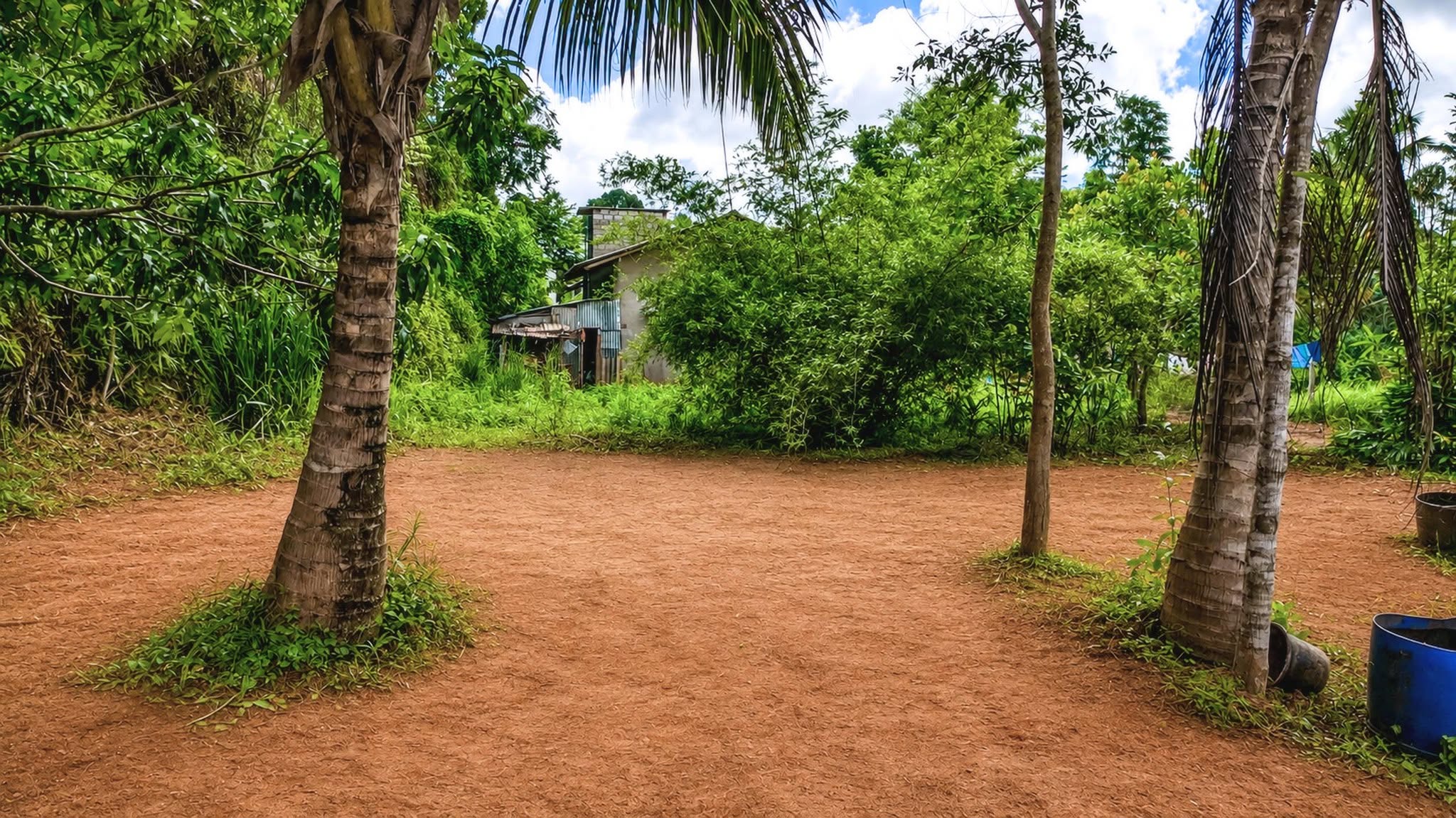 මිනුවන්ගොඩින් ඉතා අගනා ප.ර් 13ක හිස් ඉඩමක් විකිනීමට