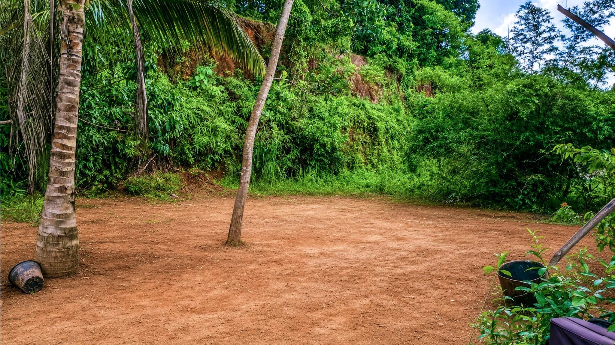 මිනුවන්ගොඩින් ඉතා අගනා ප.ර් 13ක හිස් ඉඩමක් විකිනීමට