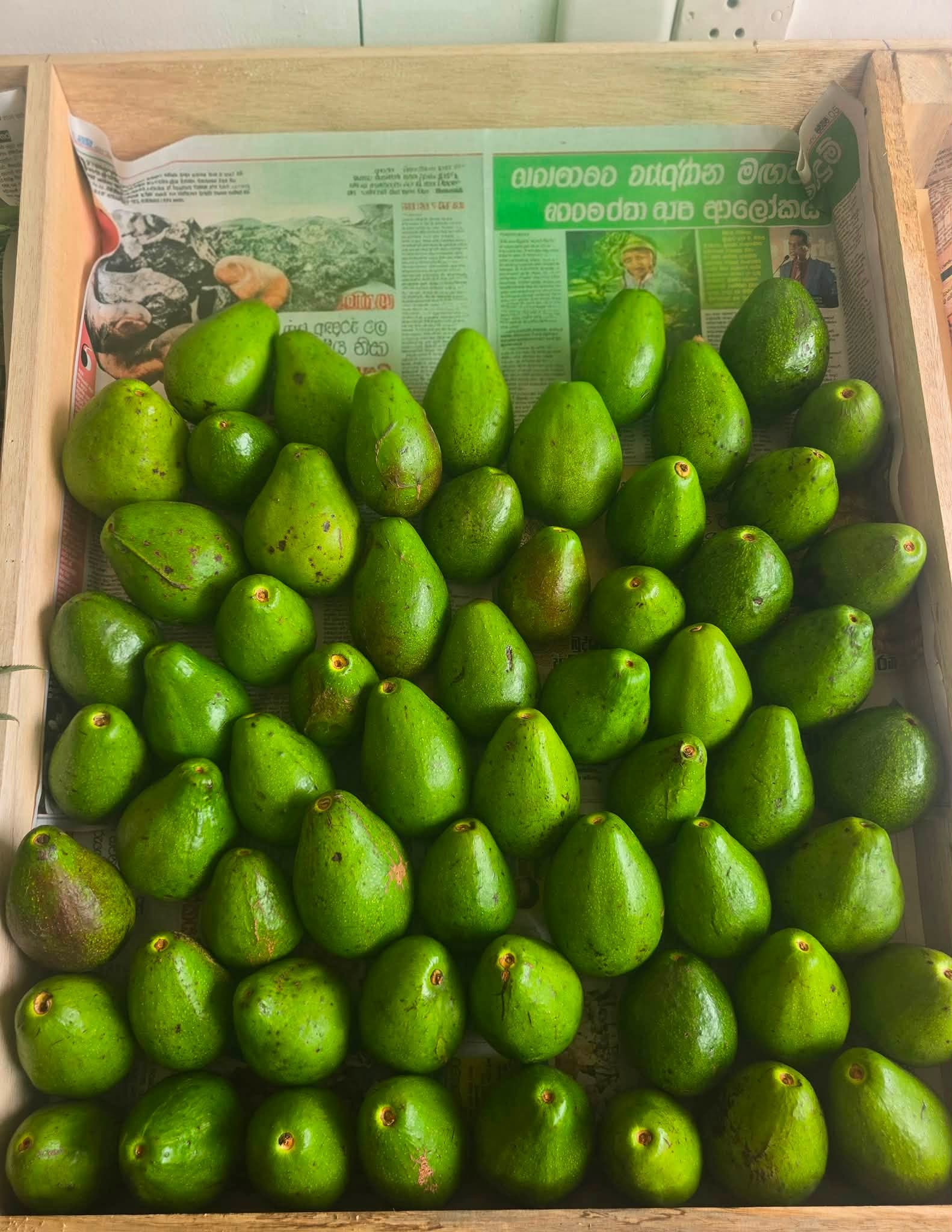 ගෙදරටම නැවුම් පලතුරු දැන් නිවසටම! නිවසට අවශ්‍ය නැවුම් පලතුරු දැන් අපෙන් පහසුවෙන් ඇණවුම් කරගන්න.