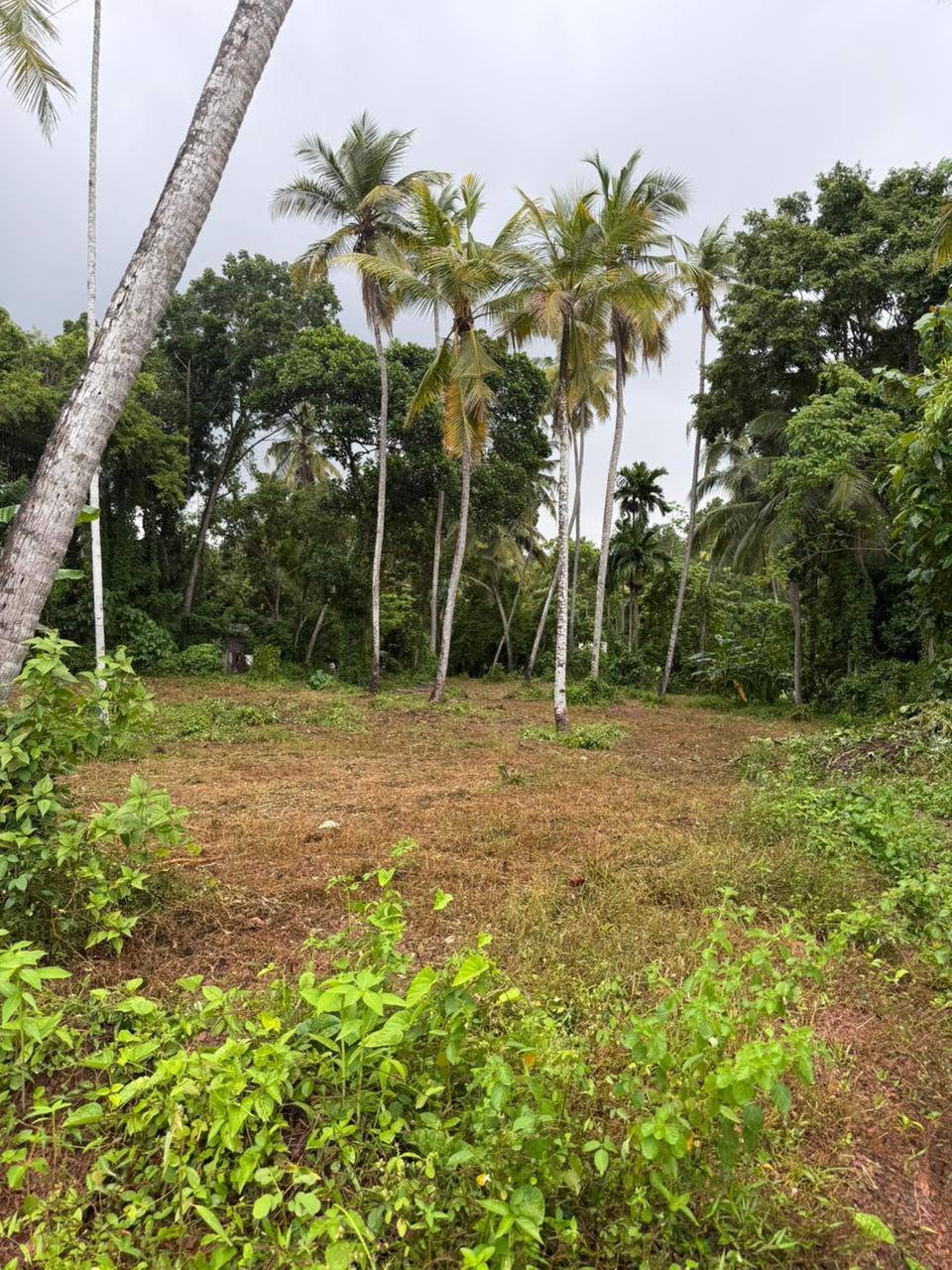 ගුවන්තොටුපළට සහ අධිවේගී මාර්ගයට ආසන්න ඉතාමත් අගනා ආයෝජන අවස්ථාවකි.