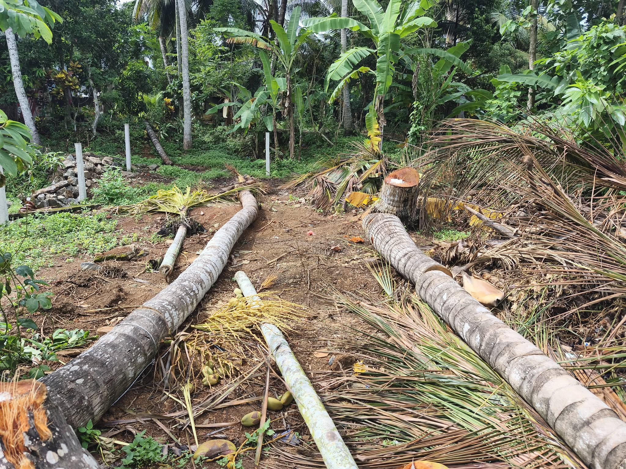 කඩවත ගනේමුල්ල පාරේ පර්චස් 6ක ඉඩමක් විකිනීමට