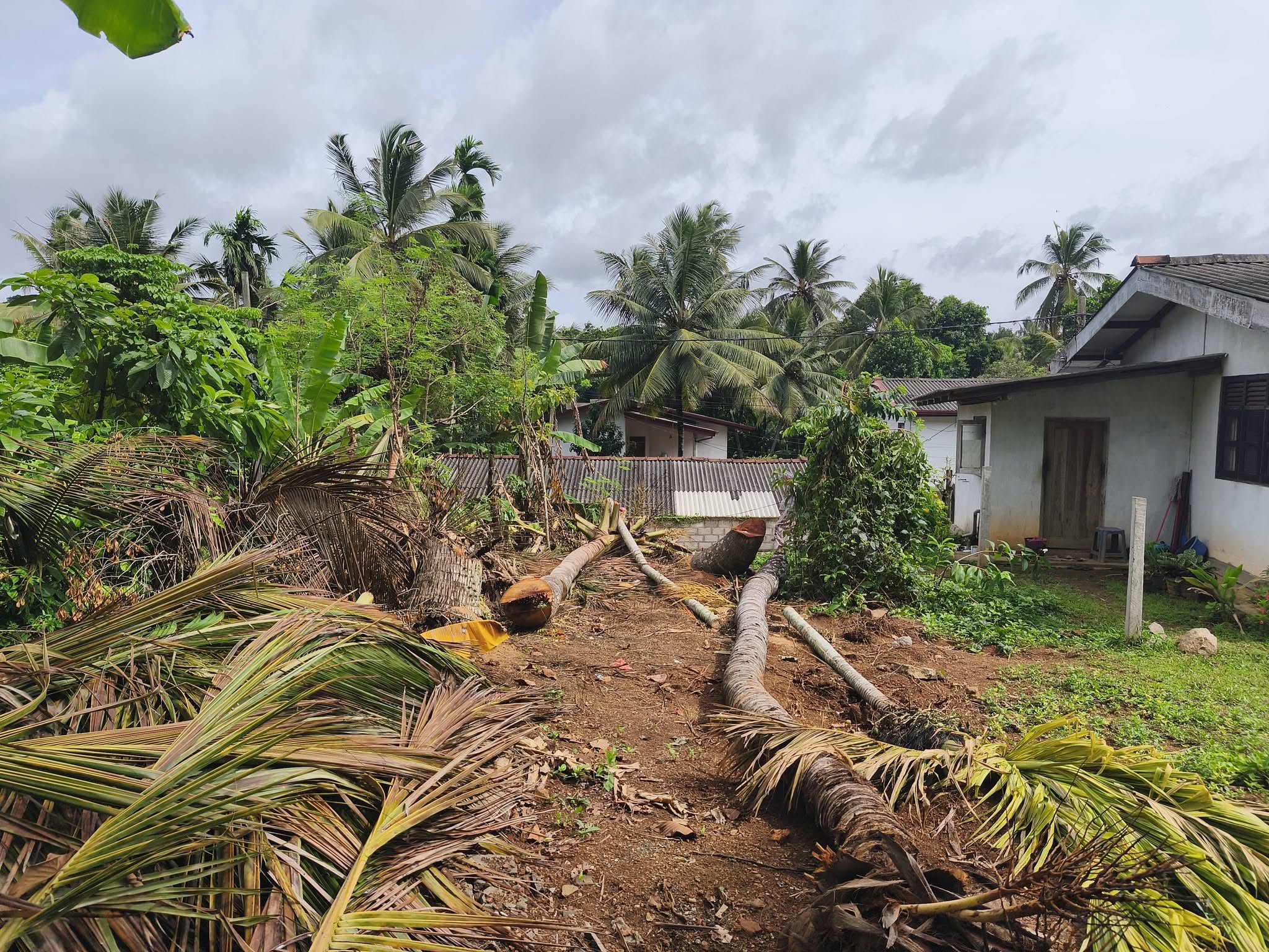 කඩවත ගනේමුල්ල පාරේ පර්චස් 6ක ඉඩමක් විකිනීමට