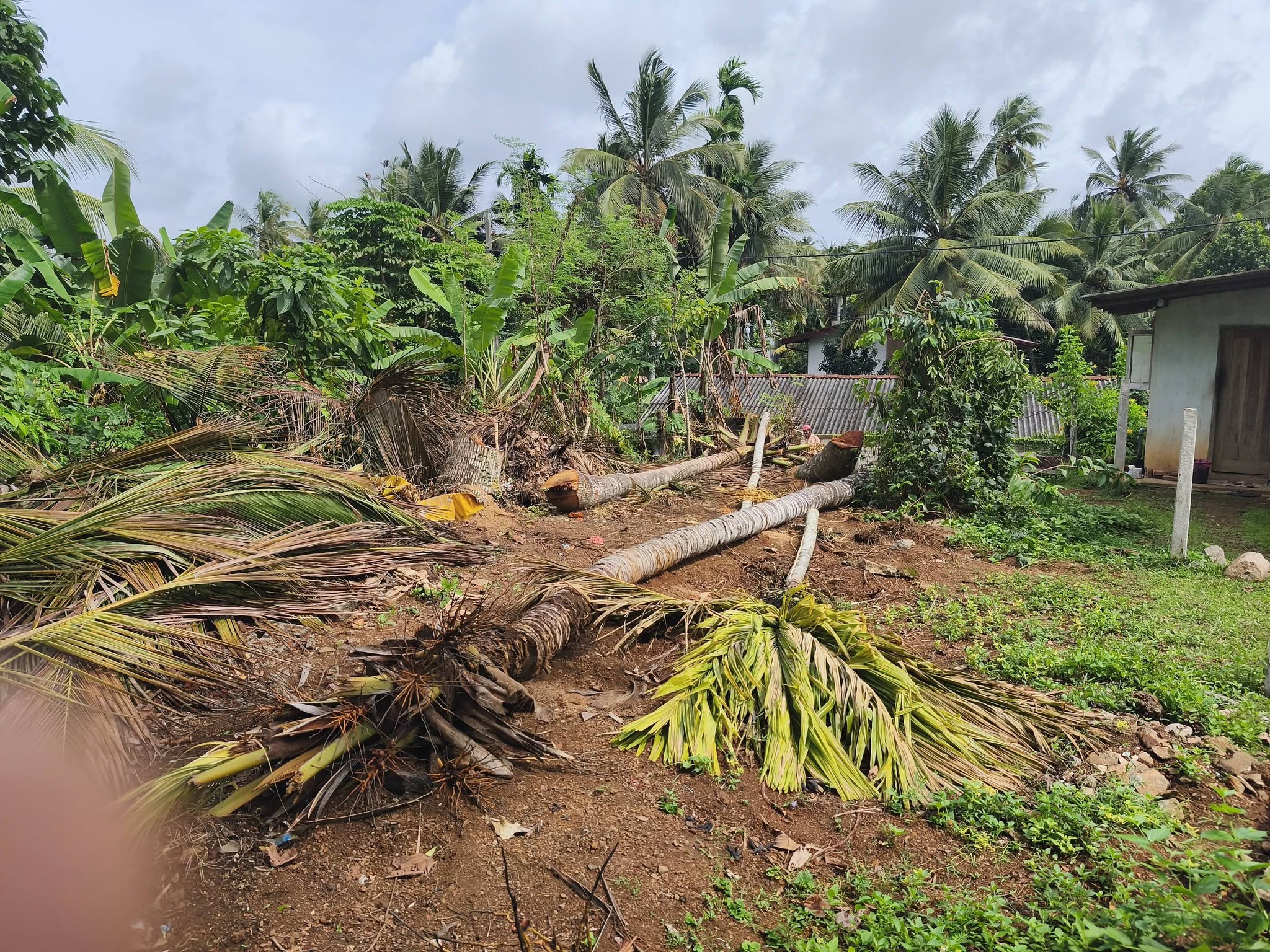 කඩවත ගනේමුල්ල පාරේ පර්චස් 6ක ඉඩමක් විකිනීමට