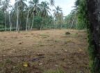 පාමුණුව, මිනුවන්ගොඩ–වේයන්ගොඩ ප්‍රධාන මාර්ගය අසල වටිනා ඉඩමක් විකිණීමට