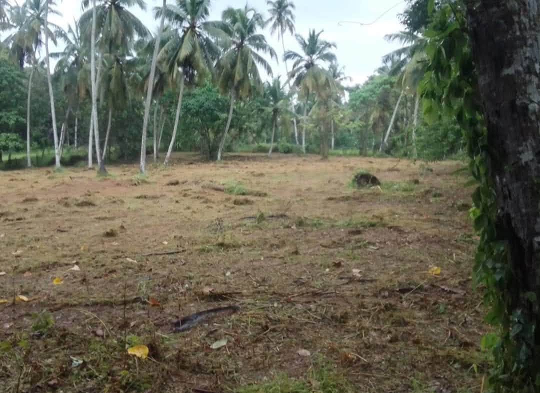 පාමුණුව, මිනුවන්ගොඩ–වේයන්ගොඩ ප්‍රධාන මාර්ගය අසල වටිනා ඉඩමක් විකිණීමට