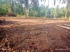 ගම්පහ යක්කල නගරයට ආසන්නයෙන් හරි හතරැස් ඉඩමක් සොයන ඔබට හැවනිවලින් වටිනා බිම් කොටස් කිහිපයක් අඩු මිලට අදම විමසන්න