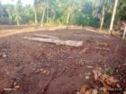 ගම්පහ යක්කල නගරයට ආසන්නයෙන් හරි හතරැස් ඉඩමක් සොයන ඔබට හැවනිවලින් වටිනා බිම් කොටස් කිහිපයක් අඩු මිලට අදම විමසන්න