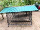 Dog cage for sale