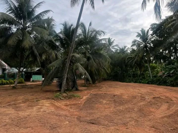 මීගමුව නාත්තන්ඩි පාරෙ බෝතලෙගම පර්චස් 52 ක ඉඩමක් ප්‍රධාන පාරට ආසන්නව විකිනීමට ඇත.
