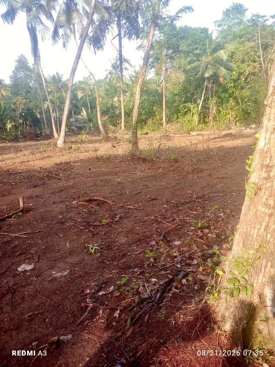 ගම්පහ යක්කල නගරයට ආසන්නයෙන් හරි හතරැස් ඉඩමක් සොයන ඔබට හැවනිවලින් වටිනා බිම් කොටස් කිහිපයක් අඩු මිලට අදම විමසන්න