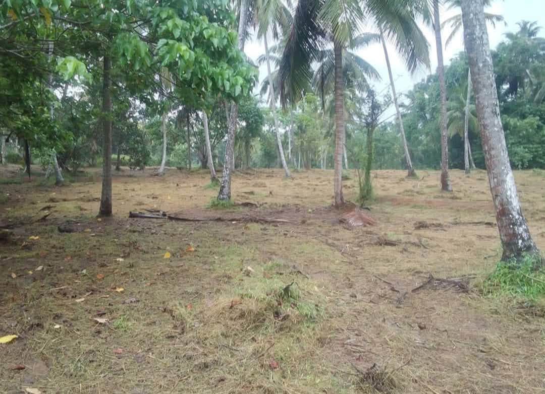 පාමුණුව, මිනුවන්ගොඩ–වේයන්ගොඩ ප්‍රධාන මාර්ගය අසල වටිනා ඉඩමක් විකිණීමට