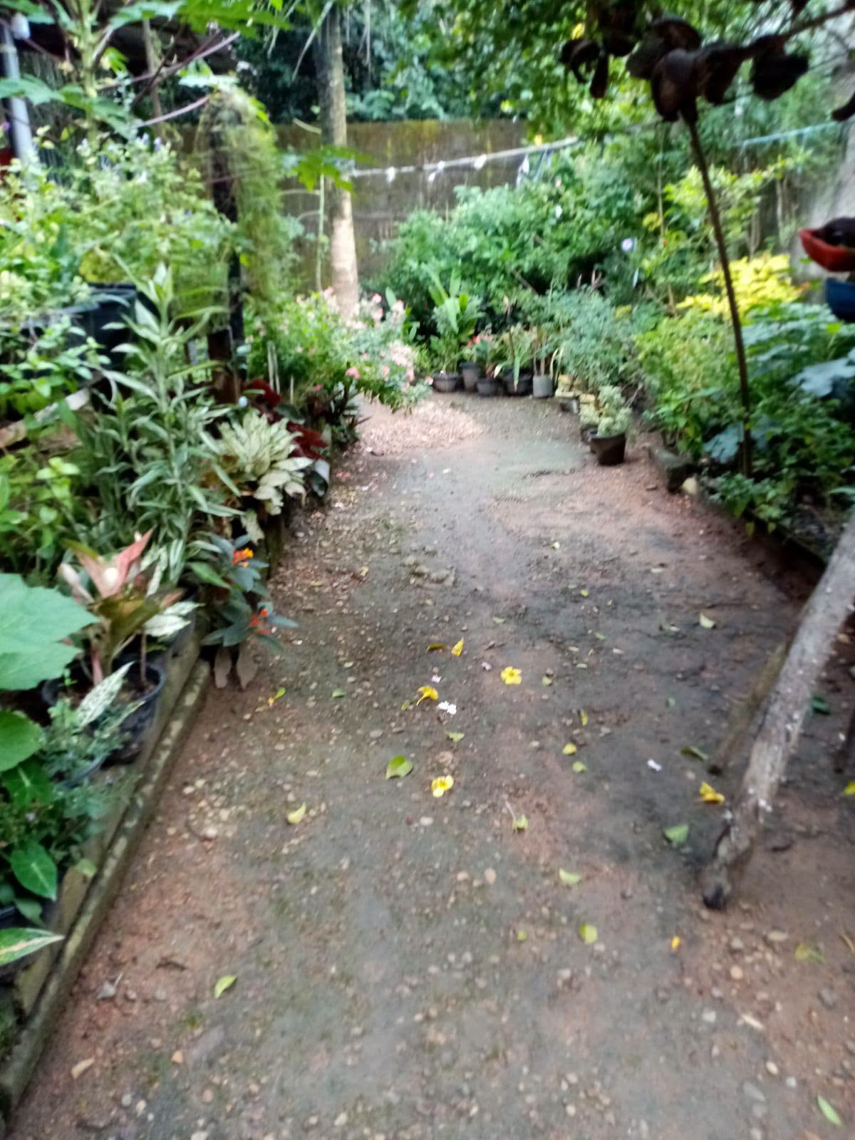 බෝකුන්දර පිළියන්දල මාර්ගයෙන් නිවසක් සමග ඉඩමක් විකිණීමට..