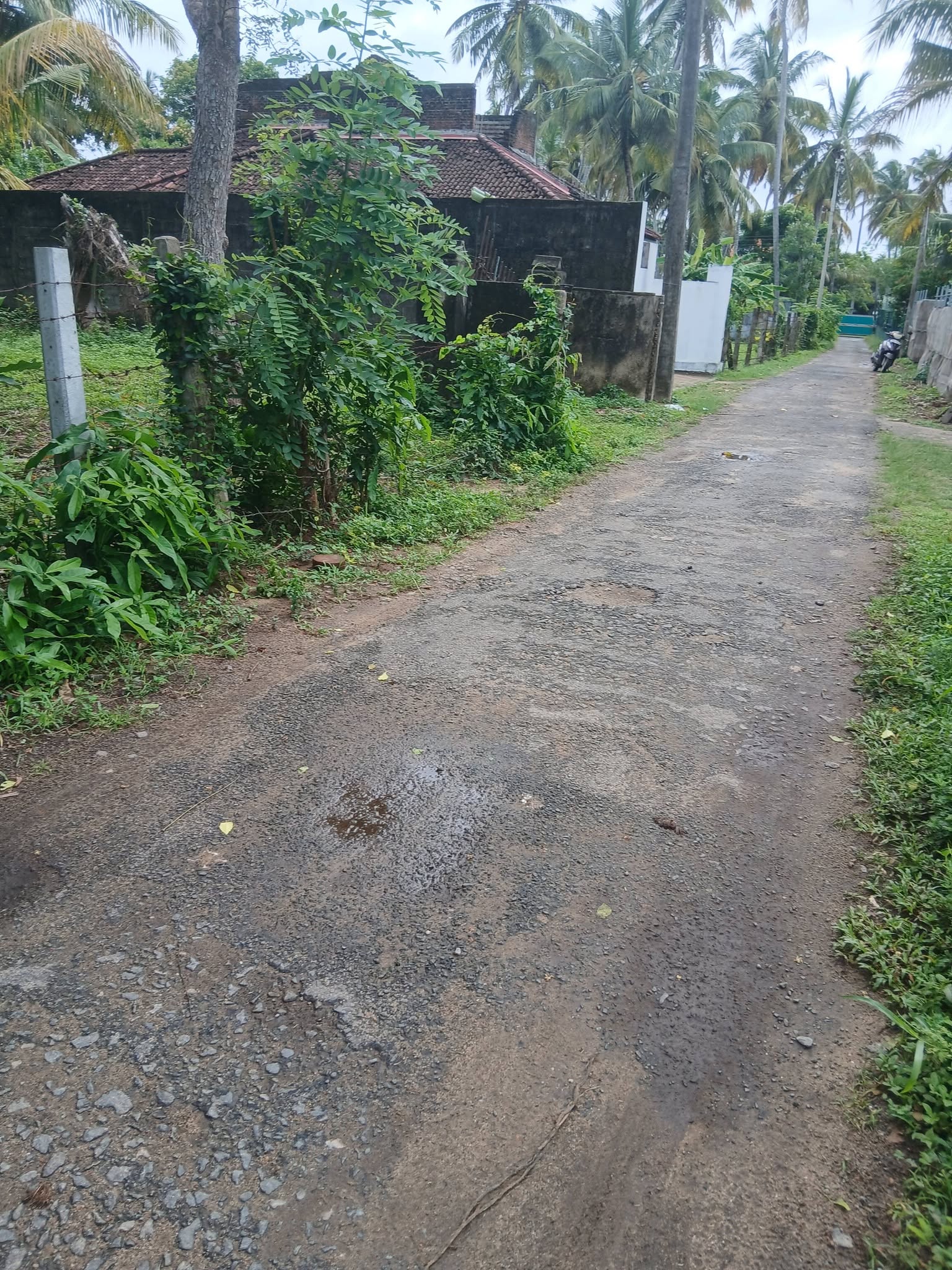 මීගමුව , දලුපත ප්‍රදේශයේ පචස් 10 ක ඉඩමක් විකිනිමට ඇත.
