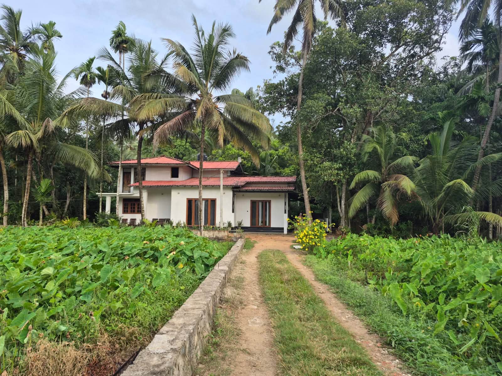 TWO-STORY HOUSE WITH 30.5 PERCHES OF LAND – FOR SALE IN SRI LANKA