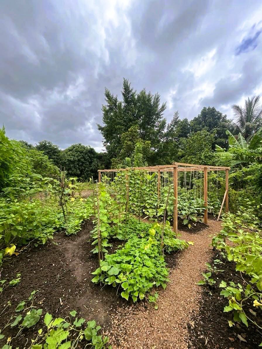 ගොඩගම Prime Land – Marvelous Garden එකෙන් පර්චස් 13 ක වටිනා ඉඩමක් විකිණීමට.