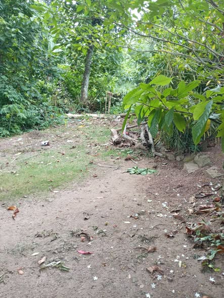 ඉතා ඉක්මනින් ව්කිනිමට පචස් 7/5 හිස් ඉඩමක් ව්කිනිමට තිබෙි