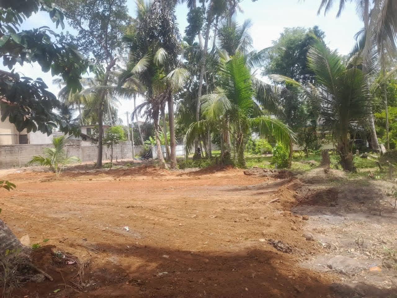 බොරලැස්ගමුවෙන් පර්චස් 10ක ඉඩම් කොටස් 2ක් විකිණීමට!